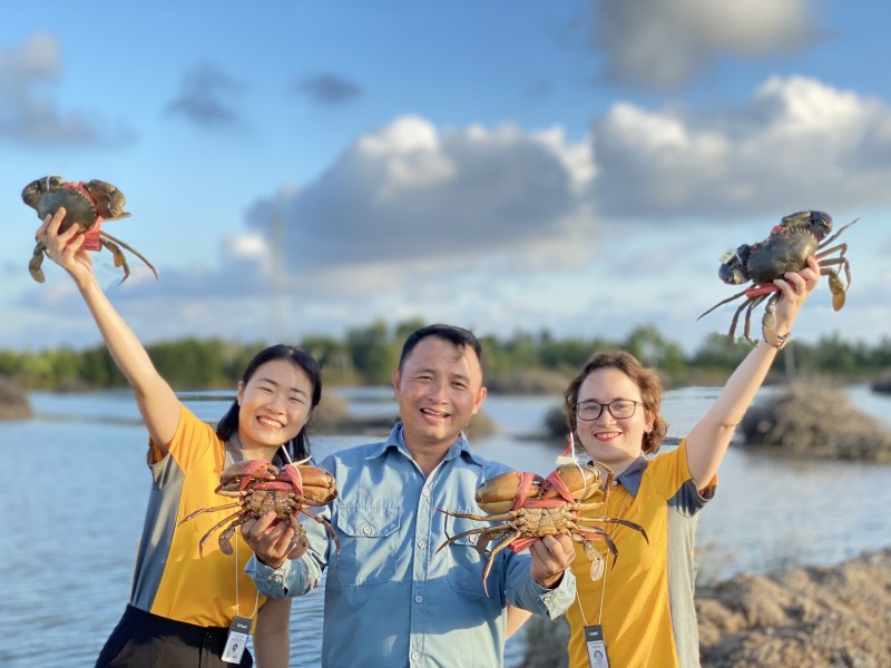  Chiến Lược Kinh Doanh Cua: Đảm Bảo Chất Lượng Đạt Chuẩn